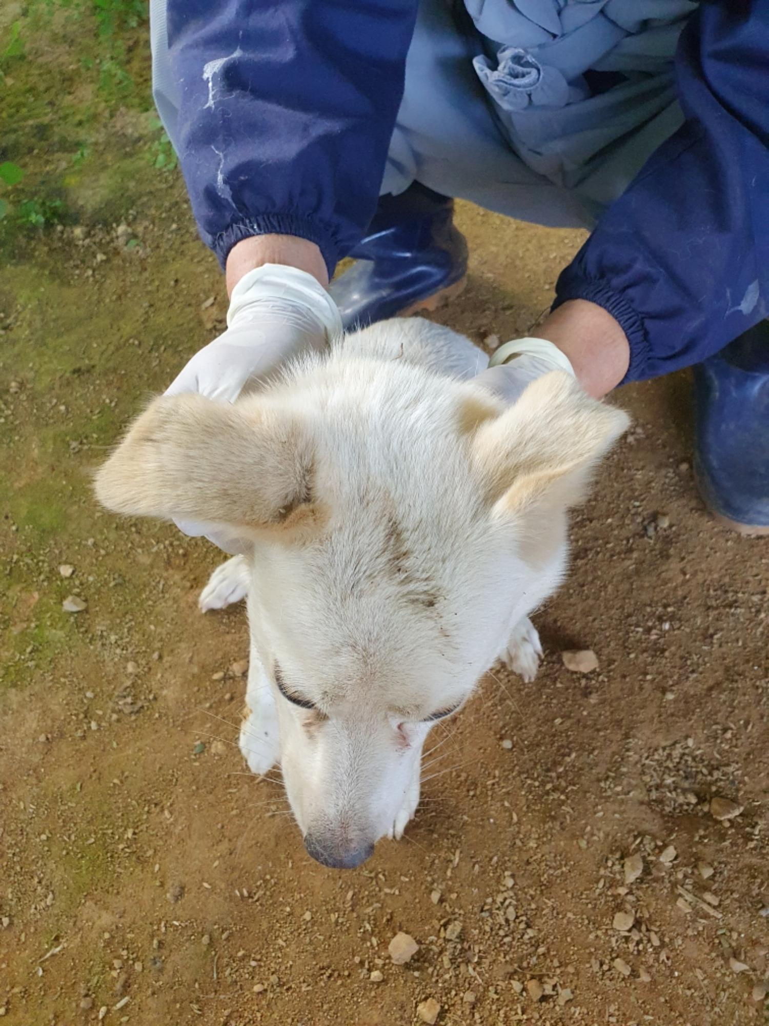 최종주동물병원_443444202300585
